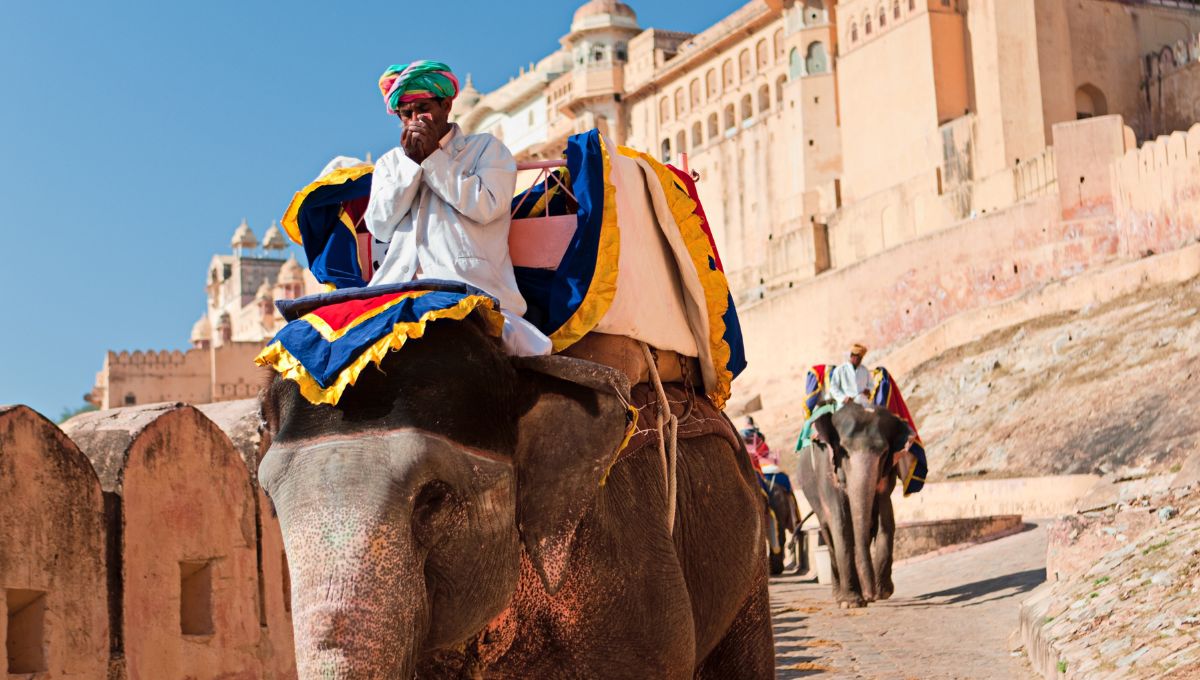 10 Ways to Experience Jaipur Art and Culture | MindFullHive