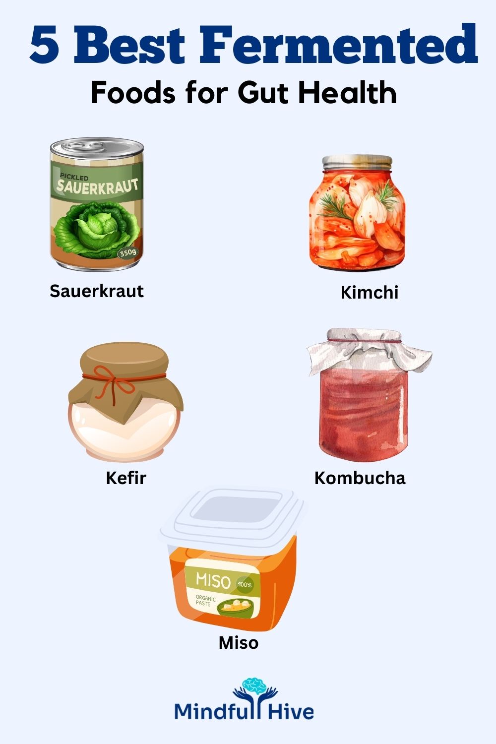 best fermented foods for gut health